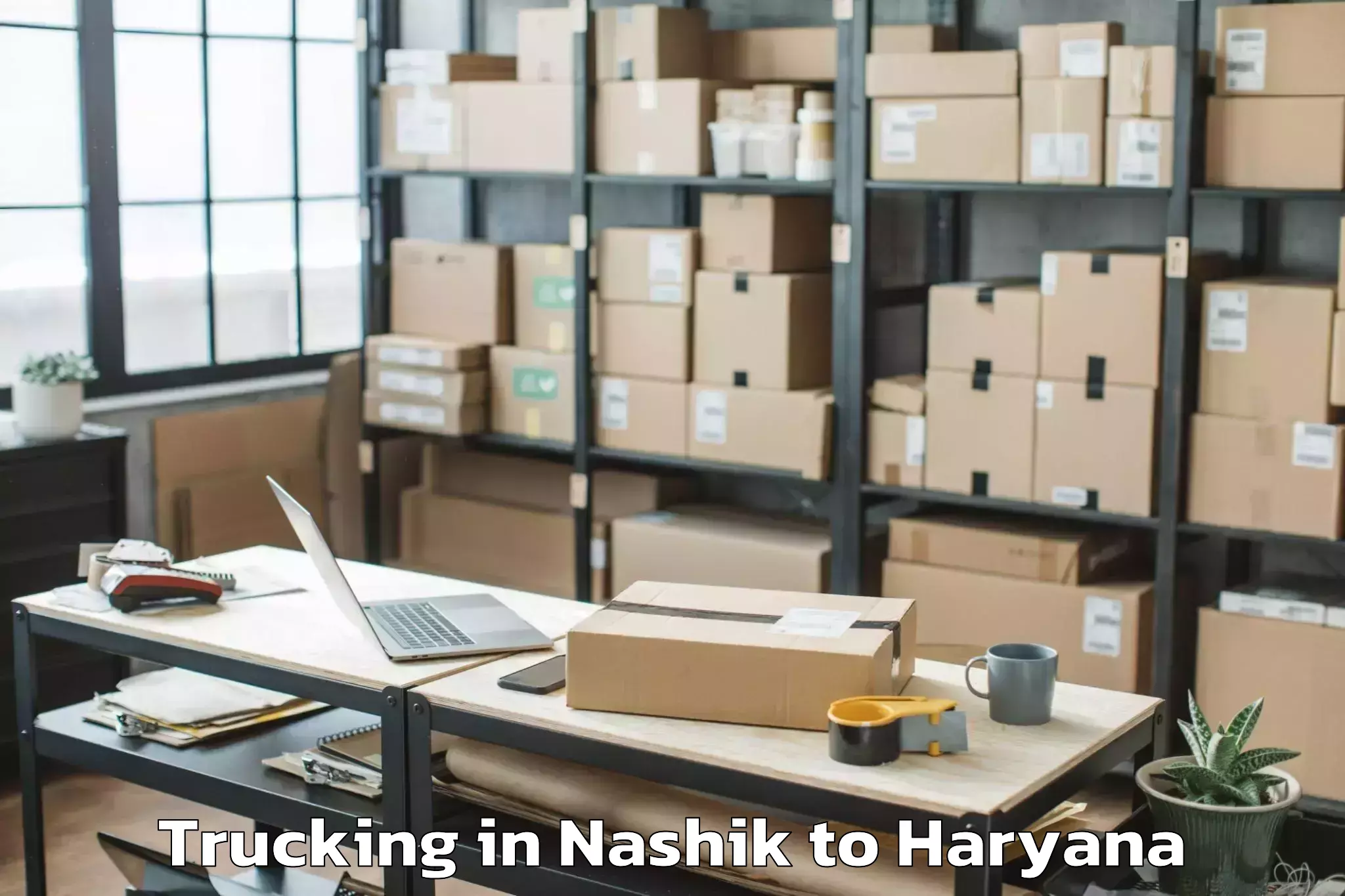 Professional Nashik to Sushant University Gurgaon Trucking